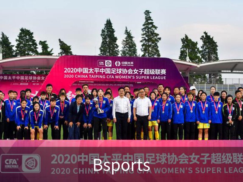 Bsports概况